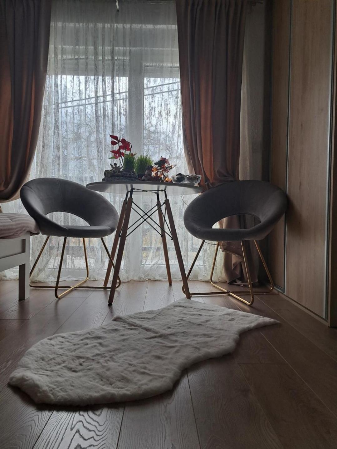 Rooms Lida & Friendly Home プラヴ 部屋 写真